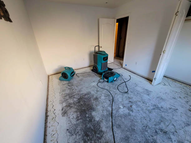  Sharpsburg, NC Water damage restoration Pros