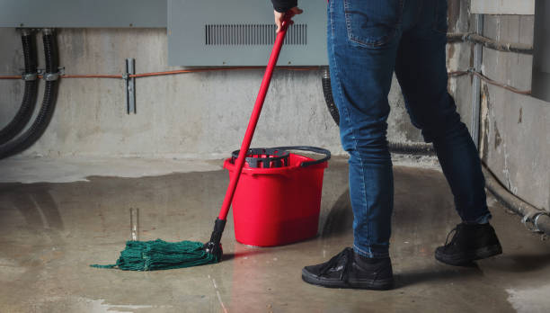 Best Fire Damage Restoration  in Sharpsburg, NC